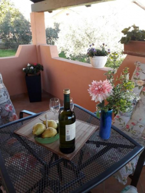 Apartman Amfiteatar